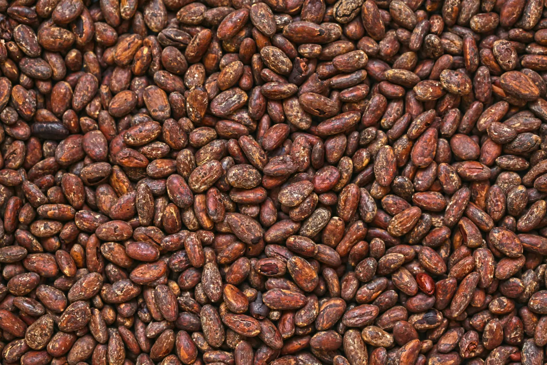 brown stone lot
